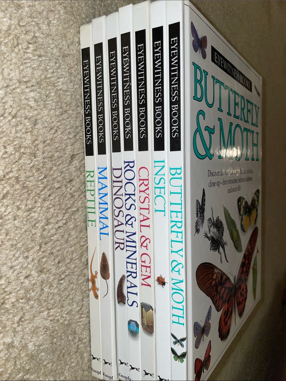 Set of 7 Used Eyewitness Books